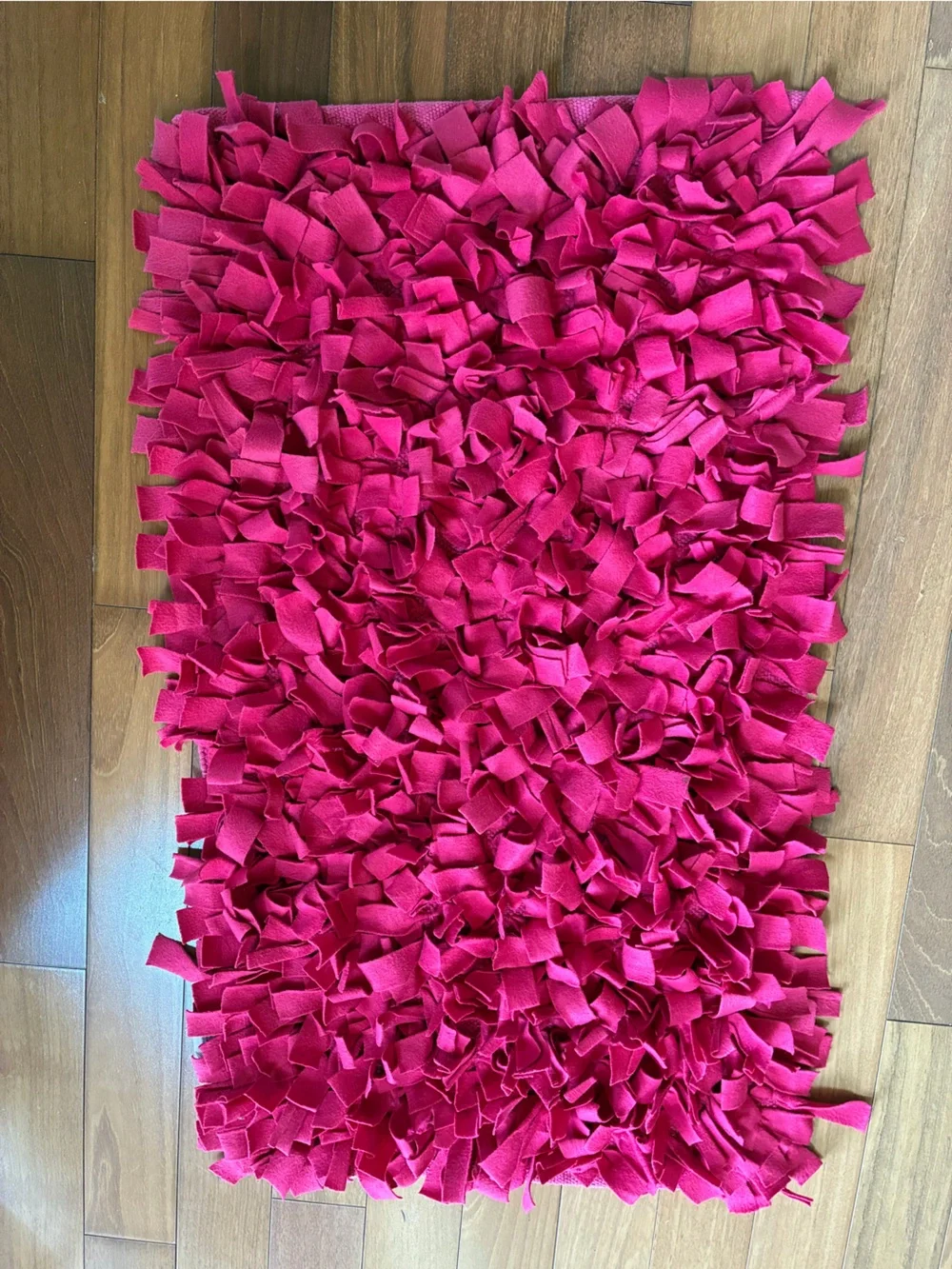 Hot Pink Shaggy Accent Rug